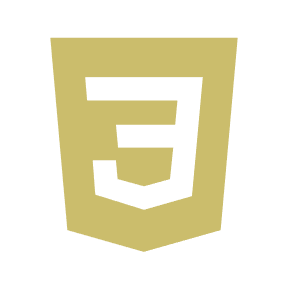CSS logo